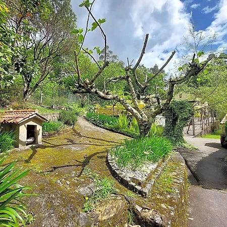Watermill Moinho Garcia * Pinheiro da Bemposta