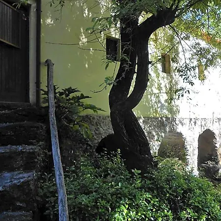 Watermill Moinho Garcia بيت شباب Pinheiro da Bemposta
