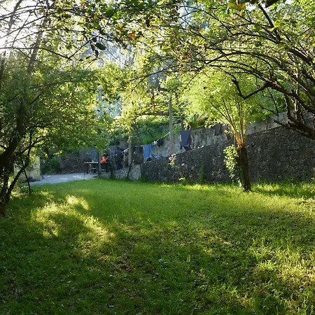 Watermill Moinho Garcia Hostel Pinheiro da Bemposta