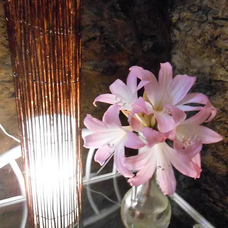 Хостел Watermill Moinho Garcia *