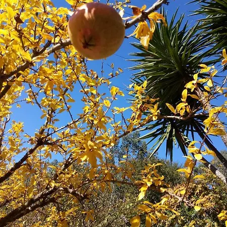 Watermill Moinho Garcia Хостел