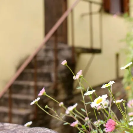 Hostel Watermill Moinho Garcia