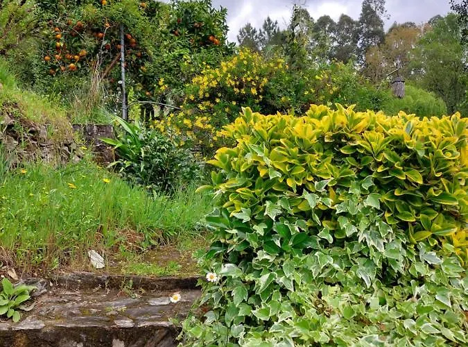 Watermill Moinho Garcia Vandrerhjem *