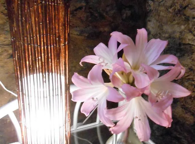 Hostel Watermill Moinho Garcia *