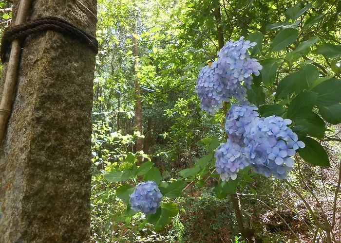 Watermill Moinho Garcia Vandrerhjem *