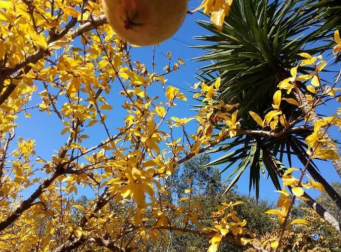 Watermill Moinho Garcia Vandrerhjem