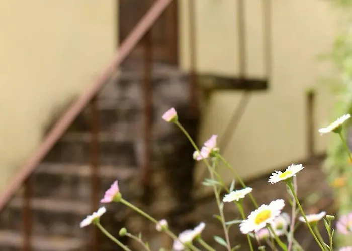 Vandrerhjem Watermill Moinho Garcia